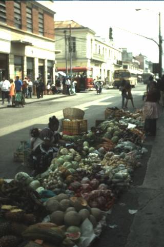 Fruit for sale